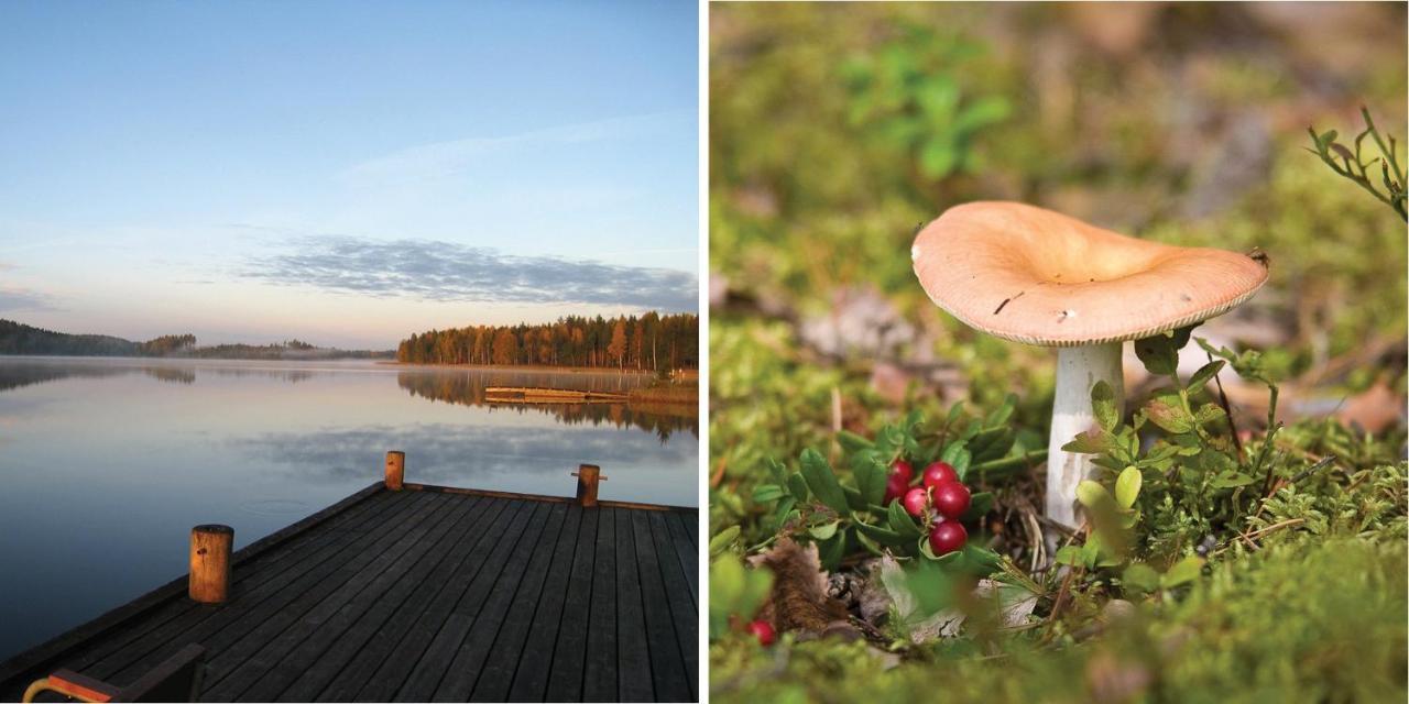 Saimaanranta Resort By Anttolanhovi Mikkeli Zewnętrze zdjęcie